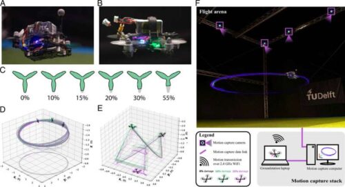 Quadrotor flight experiments with incremental blade damage. We conduct experiments with two quadrotors: the autonomous DragonFly (A) controlled using the INDIFlight controller and the human-piloted HoverFly (B) operating the Betaflight controller. Flight experiments are conducted with various degrees of blade damage (C) from healthy (0% damage) to 55% blade tip damage. Credit: Proceedings of the National Academy of Sciences (2026). DOI: 10.1073/pnas.2608847123