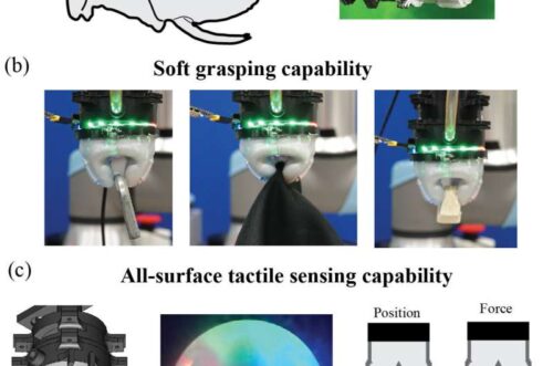 (a) Inspiration from the elephant trunk. (b) The soft pneumatic gripper closes using air pressure, enabling gentle and versatile grasping. (c) Through vision-based sensing, the gripper can perceive both contact with external objects and its own shape