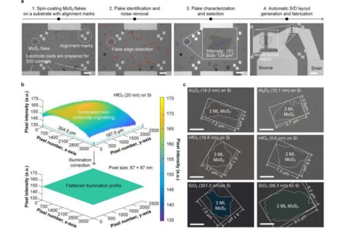 Automated image preprocessing and device layout generation for consistent and substrate-universal flake characterization.