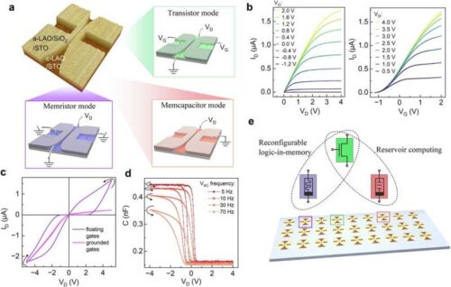 Polymorphic functionality of a runtime reconfigurable oxide interface-based device