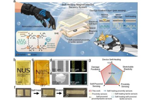 An amphibious, self-healing magnetoelectric system with integrated damage sensing. Credit: Advanced Materials (2026). DOI: 10.1002/adma.202523052