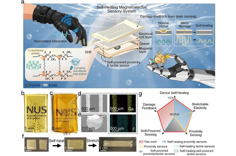 Self-Healing Electronic Skin Repairs Itself Underwater