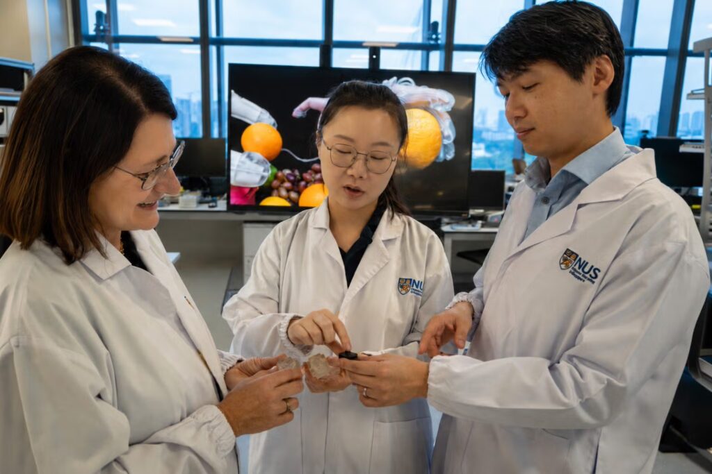 Lead researchers Prof Benjamin Tee (right) and Prof Cecilia Laschi (left) with co-first author of the paper, Research Fellow Yu Kelu (centre), holding samples of the soft sensor.