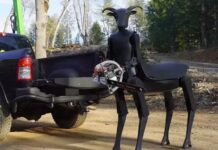Disaster Response Robot Tackles Dangerous Rescue Tasks Remotely Safely