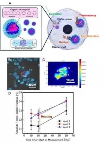 Researchers from Japan’s National Institutes for Quantum Science and Technology (QST) and the University of Tokyo have engineered Molecular Quantum Nanosensors (MoQNs).