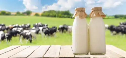 Electrochemical Sensor Detects Trace Antibiotic Residues in Milk

