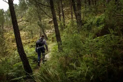 Multimodal In-Ear Sensors Estimate Energy Expenditure During Outdoor Activity