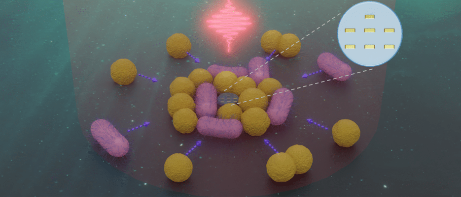 Artistic view of a nanorobot (center and inset) interacting with several bacteria of two distinct types. The dashed arrows indicate the attractive thermophoretic force exerted by the nanorobot on the bacteria in the vicinity while being illuminated. (Image: Jin Qin / Uni Würzburg)
