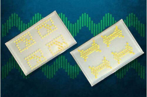 MIT researchers have engineered bacteria that can function as transistors, allowing them to create "living circuit boards" like those shown.