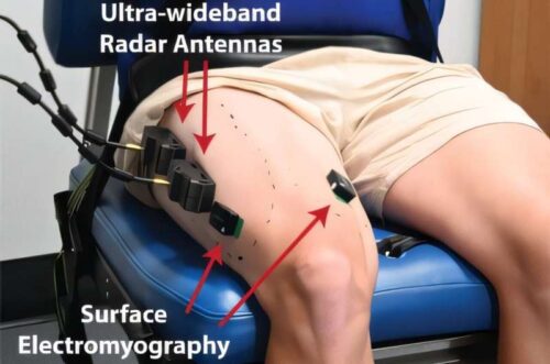 Ultra-wideband radar measures muscle forces in a moving leg. Credit: Chris Bird/The University of Queensland