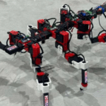 Six-Legged Robot Learns Walking From Insects
