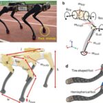 3D-Printed Robot Feet Cut Power