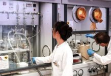 Novel Material Boosts Fusion Fuel Isotope Separation Efficiency Significantly