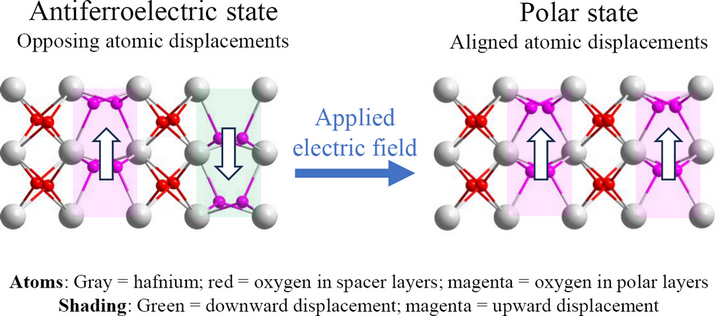 A crystal-structure illustration of antiferroelectric hafnia. At left, neighboring polar layers have opposing atomic displacements. Under an applied electric field, the displacements can become aligned, as shown at right. Nonpolar spacer layers separate the polar layers.