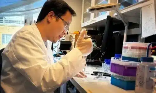 Xinxin Liu prepares a newly-fabricated nanopore membrane for evaluation. The new method simplifies the production of large arrays of nanopores for sensing and analysis technologies used in medical research and, increasingly, in specialized clinics. Image Credit: David Callahan