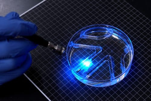 Caption:
MIT engineers developed a soft robot that can flap through water in response to flashes of light.
Credits:
Photo: Melanie Gonick, MIT