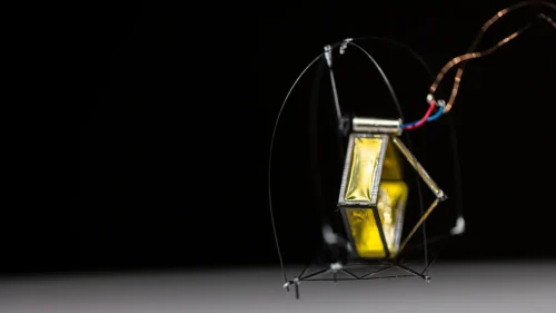 Tiny robot developed by UW