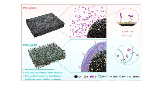 Schematic of a flexible iodine electrode with polyiodide immobilisation for an aqueous zinc-iodine battery