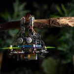 Like a Bird  This Drone Uses Touch to Grip Branches and Rest