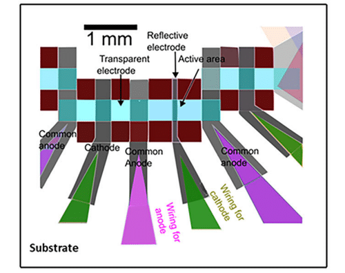 Labeled diagram showing the transparent electrode, reflective electrode and active area of the organic photodiode