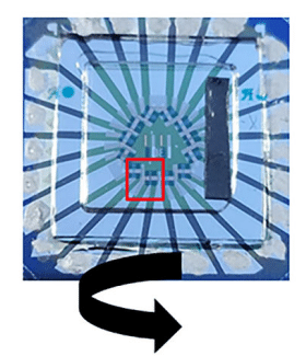 Photograph of the fabricated organic photodiode device with radiating electrode wiring