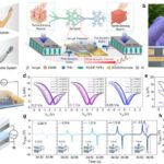 Mechanical Synapses Power Flexible Electronics