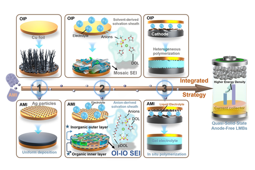 An illustration of the dynamic integrated interface engineering strategy. AMI promotes uniform lithium deposition, triggers in-situ electrolyte polymerization, and forms an OI-IO SEI, thereby enhancing the stability of anode-free lithium metal batteries. (image: HKUST )