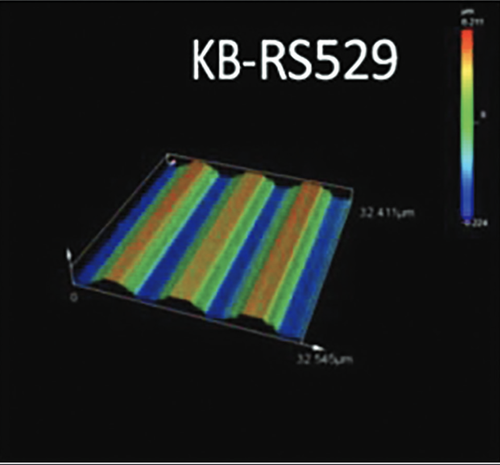 Representative 3D laser images of the Rubert roughness standard, model KB-RS529