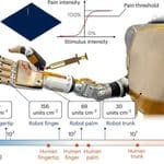 Artificial Skin Gives Robotic Fingers a Sense of Touch