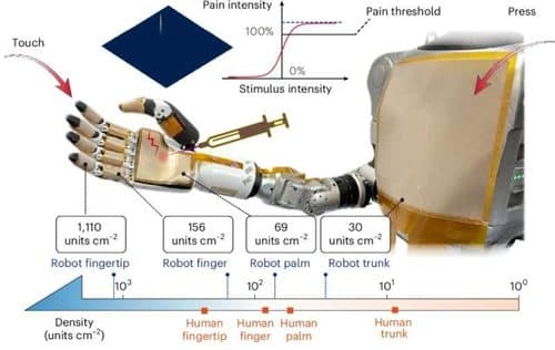 Applications of the NI-skins with different sizes and different element densities for the detection of fine textures, together with nociceptive sensing for self-protection. Credit: Nature Machine Intelligence (2026). DOI: 10.1038/s42256-026-01325-6