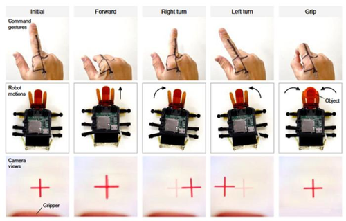 Grid showing five finger gestures, the matching BeetleBot motions, and the robot’s own camera view for each: initial, forward, right turn, left turn and grip