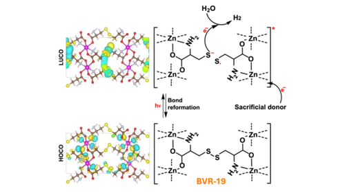 Diagram showing the LUCO and HOCO orbital distributions of BVR-19-Zn and its proposed light-driven charge-transfer mechanism with a sacrificial electron donor